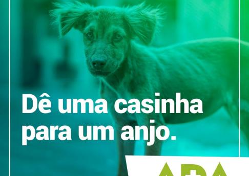 Post ADA - Casinha 