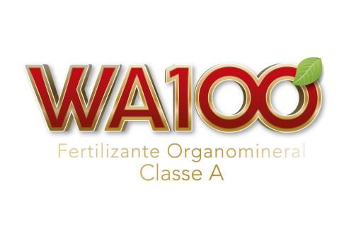 Logo WA100