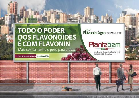 Outdoor Wenda Agro - Petrolina