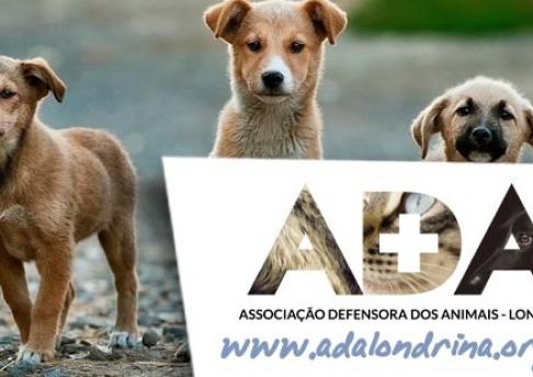 Capa ADA - Animais
