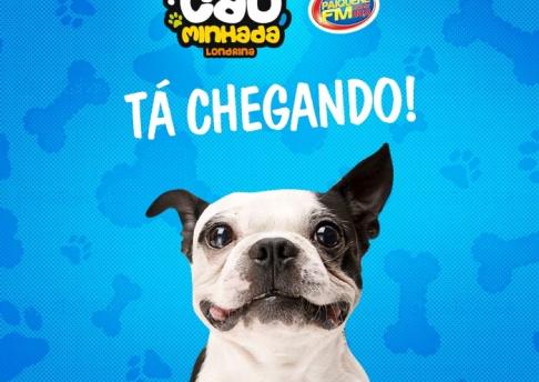 Post Rádio Paiquerê FM - Pet Day - Cãominhada 02