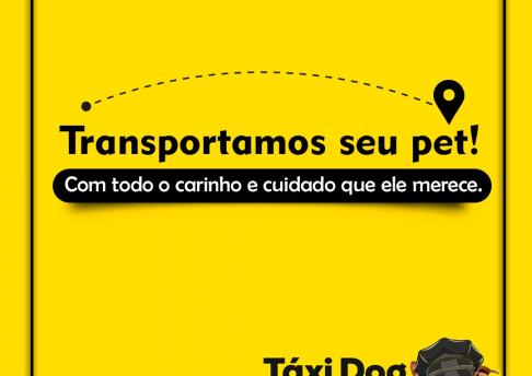 Táxi Dog Alê 1