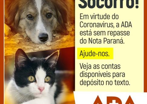 ADA Socorro
