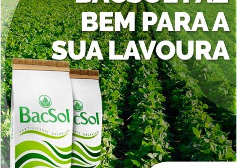Post CS Consultoria Ambiental - BacSol
