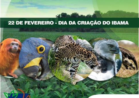 CS - Criação do IBAMA