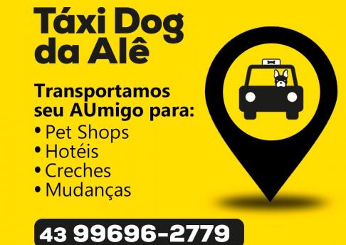 Táxi Dog Alê 2